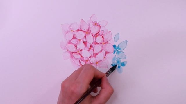 Букет гортензии / Быстрый урок / Акварель смотреть онлайн