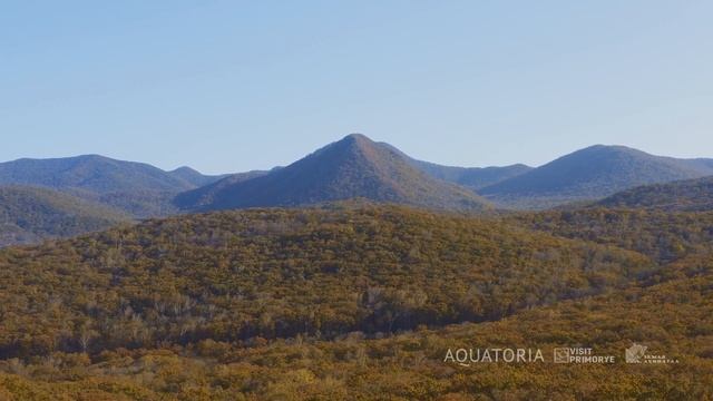 КАК ЗВУЧИТ ЗЕМЛЯ ЛЕОПАРДА. ГЛАВА ПЕРВАЯ. "ТРОПА ЛЕОПАРДА" смотреть онлайн
