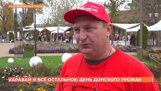День донского урожая отметили в Левобережном парке Ростова смотреть онлайн