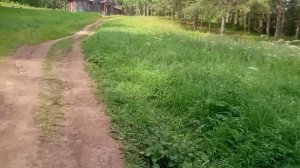 путешествие на Оз.Светлояр, на мопеде за 135км