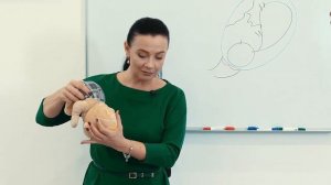 Роды без разрывов. Как не порваться в родах.