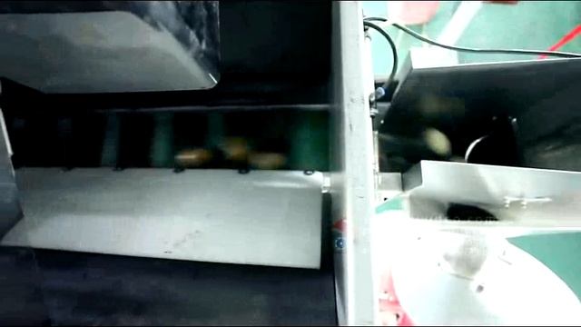 Мультиголовочный дозатор фасовка и упаковка в сетку картофеля свеклы корнеплодов смотреть онлайн