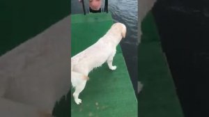 База отдыха. Светлое.