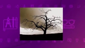 Русская литература. 7 класс. А. С. Пушкин «Анчар» /24.09.2020/