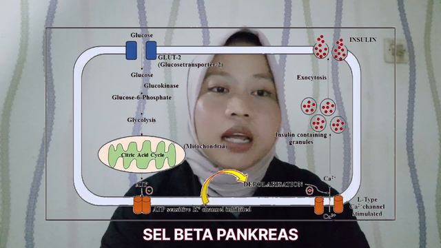 Patofisiologi Diabetes Mellitus смотреть онлайн
