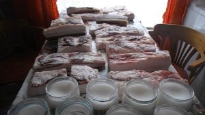 Обзор сала и мяса от вьетнамской  мраморной свиньи в возрасте  1г 2мес.