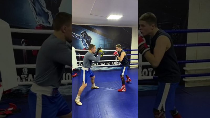 #shorts #boxing