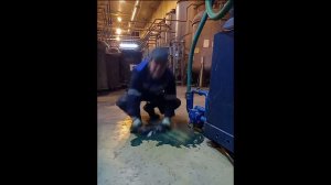 гимн аппаратчика диспергирования пигментов