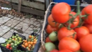 Как сделать ГРУНТ ДЛЯ РАССАДЫ своими руками?