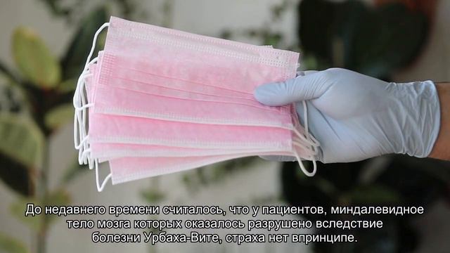 Страшно интересно: как, почему и зачем мы испытываем страх