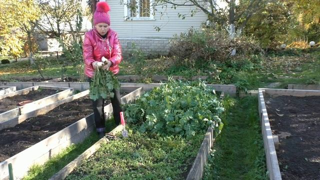 Убираем дайкон смотреть онлайн