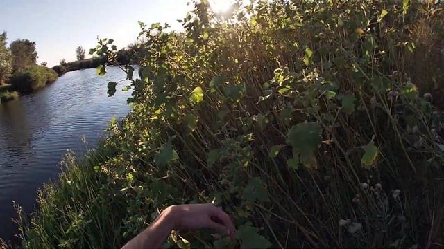 Рыбалка на Ахтубе 2022. Сом, Щука и большая Змея. смотреть онлайн