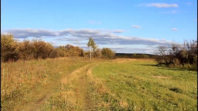 Красоты родного края ЯЯ на стихи Людмилы Гусевой читает Полина Морозова