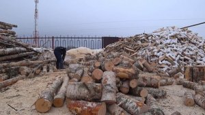 Как заготавливать дрова с помощью Stihl MS-361 и Fiskars X25