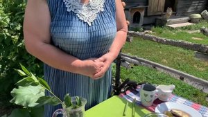 Как приготовить варенье из ревеня в домашних условиях