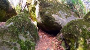 Алупкинский парк. Озеро с лебедями. Виды на Ай петри Крым 2022 Алупка.mp4