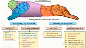 Производить разделку говяжьей туши на полутуши и четвертины