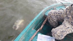 Рыбалка в астрахани на реке Берекет в октябре. Поймал хорошую щуку на джиг