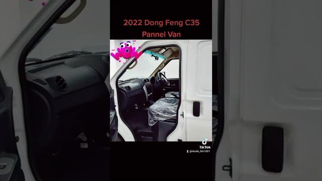 Dong Feng C35 PANEL VAN