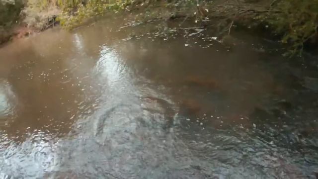 Реки.Неудобные вопросы смотреть онлайн