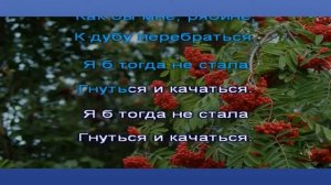 Тонкая рябина. Караоке