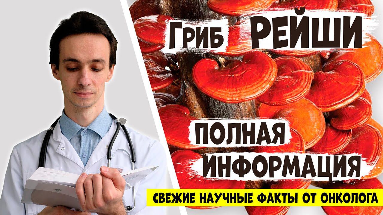 Гриб РЕЙШИ (Линчжи): от каких болезней помогает? Побочные эффекты и противопоказания. Научные факты.