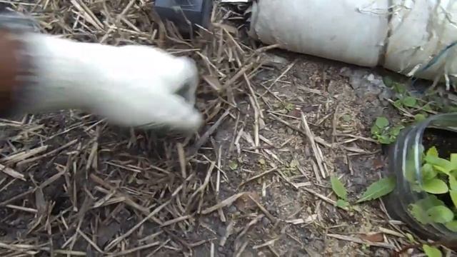 Установка кротоловки кот Федр или Супер Кэт.