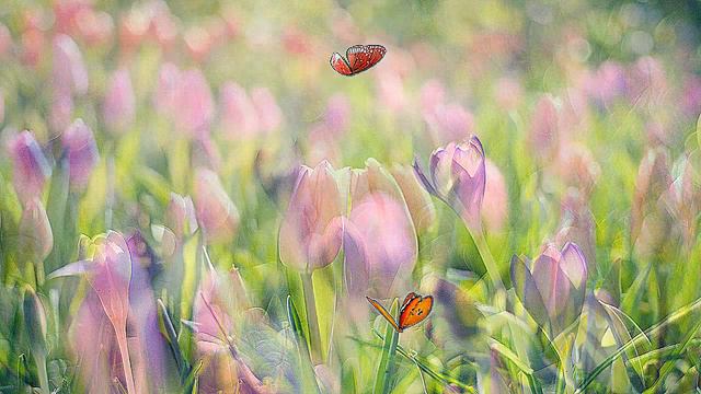 С 8 МАРТА МАМОЧКА! КРАСИВОЕ ПОЗДРАВЛЕНИЕ С 8 МАРТА! МУЗЫКАЛЬНАЯ ОТКРЫТКА смотреть онлайн