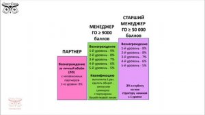 Маркетинг компании Сова-Сова