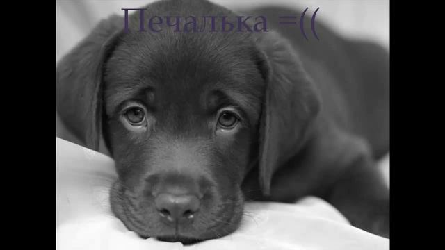 Подкаст-#1 (Почему не было роликов) смотреть онлайн