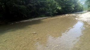 голавль на микроречке