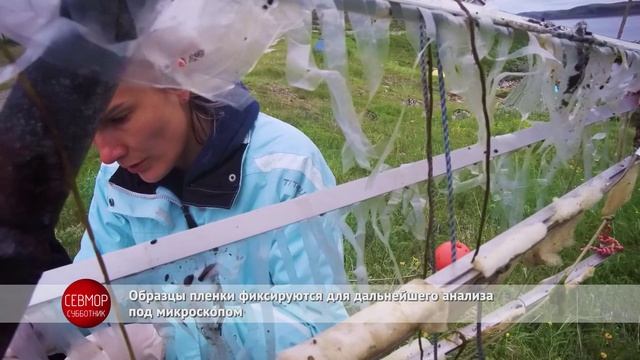 Баренцево море часть 1.  Устанавливаем планку обрастания в Зеленецкой бухте