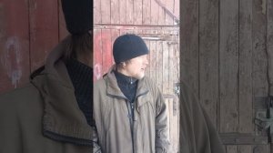 двигатель МТЗ гавкает1