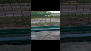 Монтаж установка забора из 3д сетки и профлиста