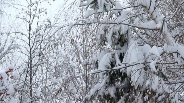 Ноктюрн любви-зимней сказке нашего города смотреть онлайн
