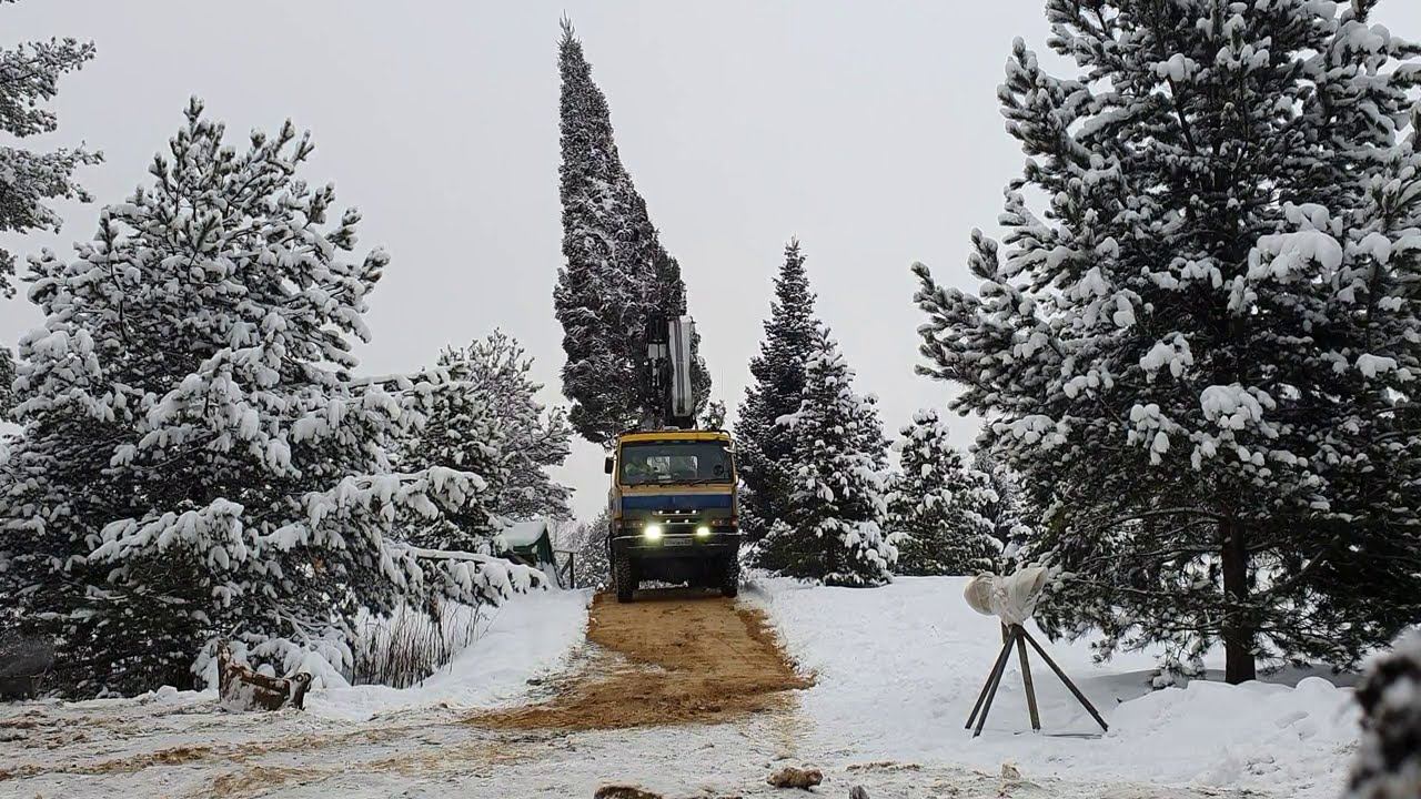16 метровая пихта весом 9 тонн с горки стоя,опасная перевозка.С Днём Рождения Меня) смотреть онлайн