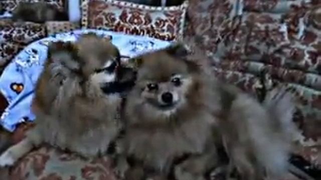 поцелуйчики смотреть онлайн