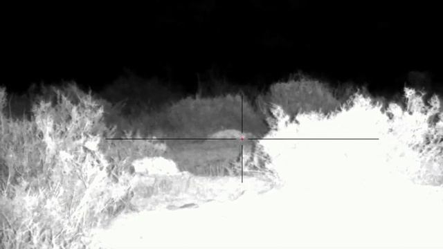 Охота на шакала. Март 2023. смотреть онлайн