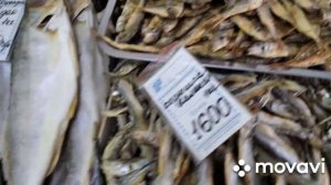 Рыбный магазин.г.ЕЙСК!!!ПИЛЕНГАС.