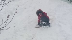 Первое января 2023/Гуляем с Пуговкой/Дети сделали снеговиков./Играем в Русское Лото