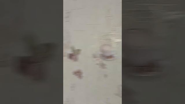 Поклейка обоев от профи.