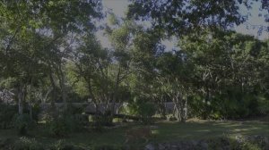 Парк Xcaret Мексика
