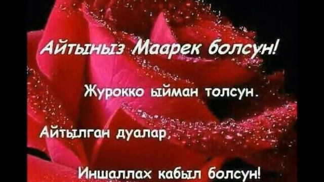 Айтыныз маарек болсун. Курбан айт маарек болсун. Айт маарек болсун открытки. Картина айтыныздар маарек болсун.