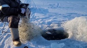 Зимняя рыбалка на ЗЛУЮ Щуку и карася. Лучшие моменты??????