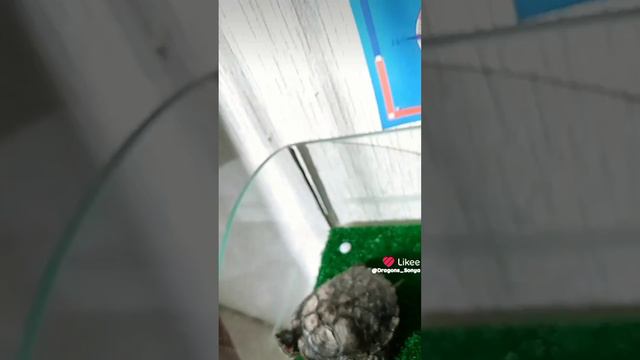 ❤❤ смотреть онлайн