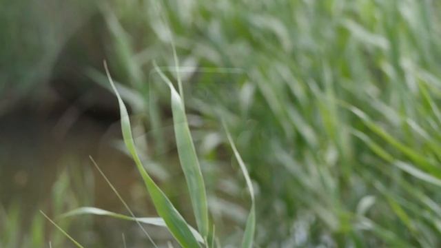 А иногда отец мне говорил! Памяти отца смотреть онлайн