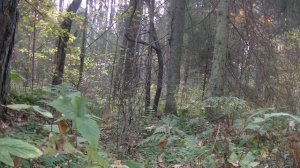 В гостях у Михаила Лебедева