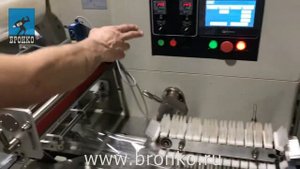 Горизонтально упаковочная машина ALD-450D. Упаковка зефира в коррексе. Часть 1.