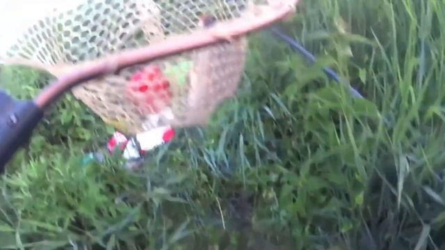 Прогноз клева рыбы на Эту неделю с 12 по 18 Июня Календарь клева рыбы Лунный календарь рыбака