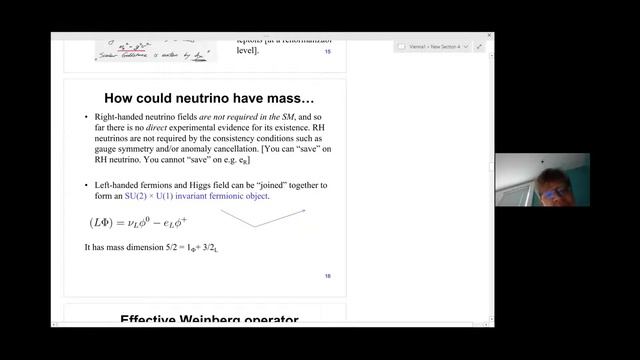 Maxim Pospelov - Dark sector theory overview I смотреть онлайн